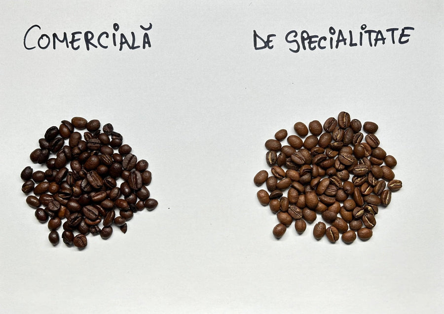 Cafea de Specialitate vs. Cafea comercială: O călătorie în lumea aromelor și a calității - Samsara Coffee Roastery