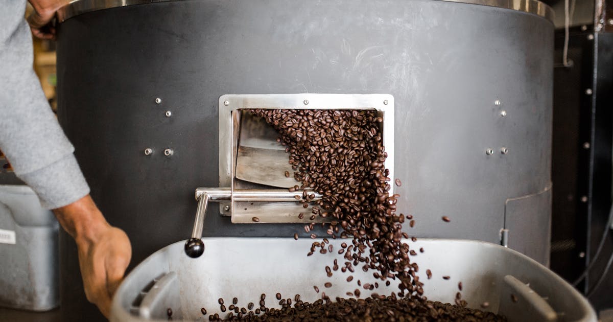 Cafea proaspăt prăjită ieșind dintr-un roaster industrial — etapa de după decofeinizare, când profilul aromatic se decide final.