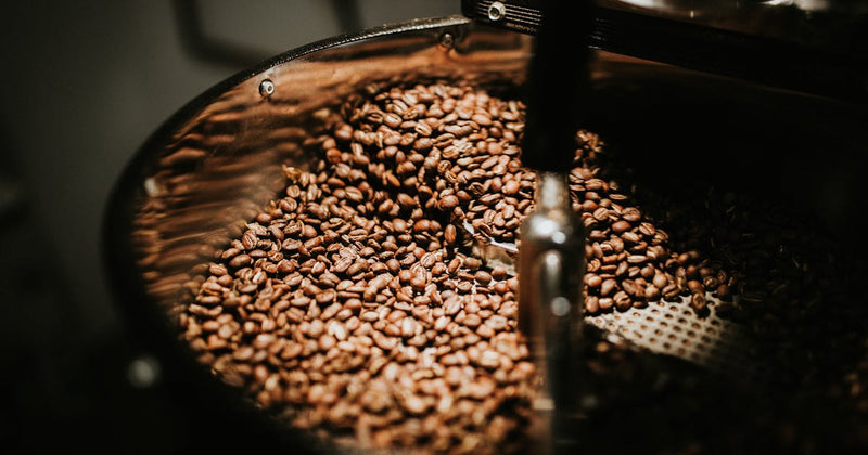 Boabe de cafea prăjite în prim-plan — cele două specii principale, arabica și robusta, arată diferit la bob.