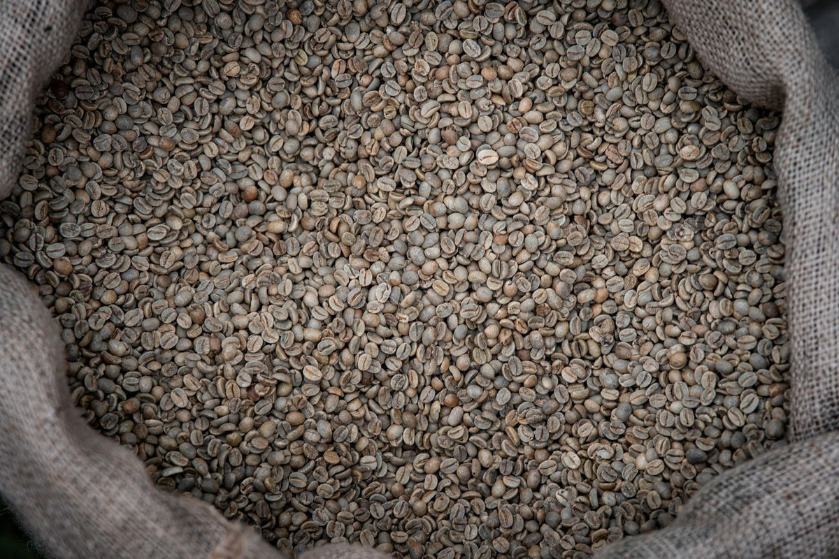 Cafea verde - Costa Rica Volcan Azul (neprăjită, 1 kg) — Costa Rica Poás Volcano