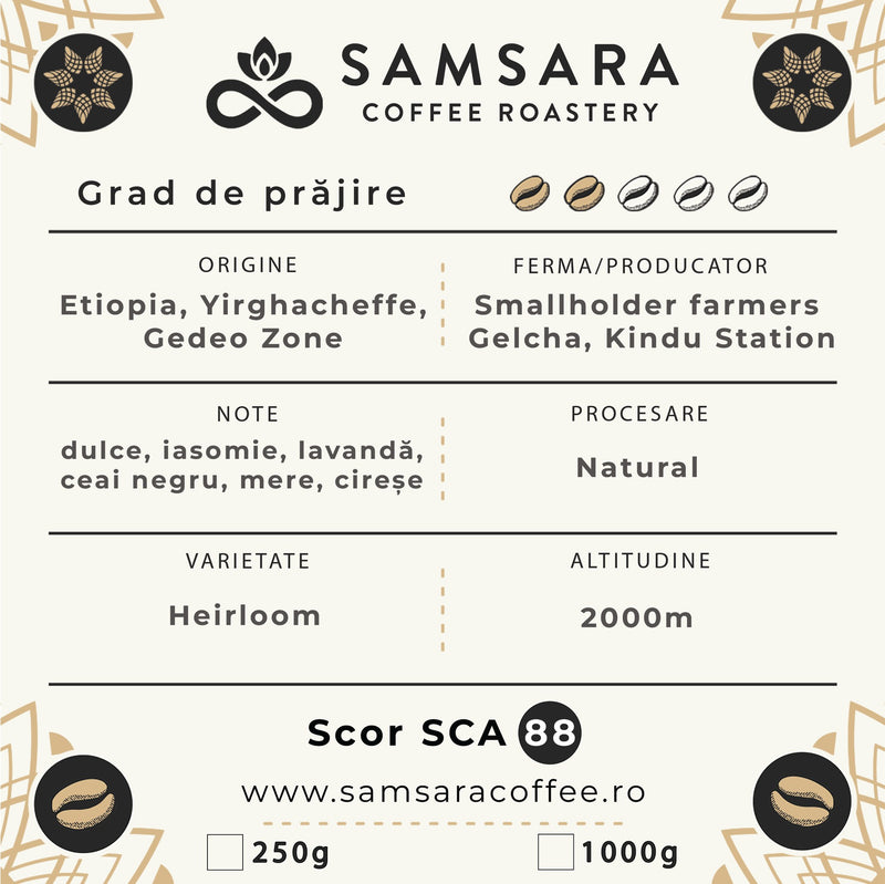 Cafea verde - Etiopia Yirgacheffe Gelcha Kindu (neprăjită, 1 kg)